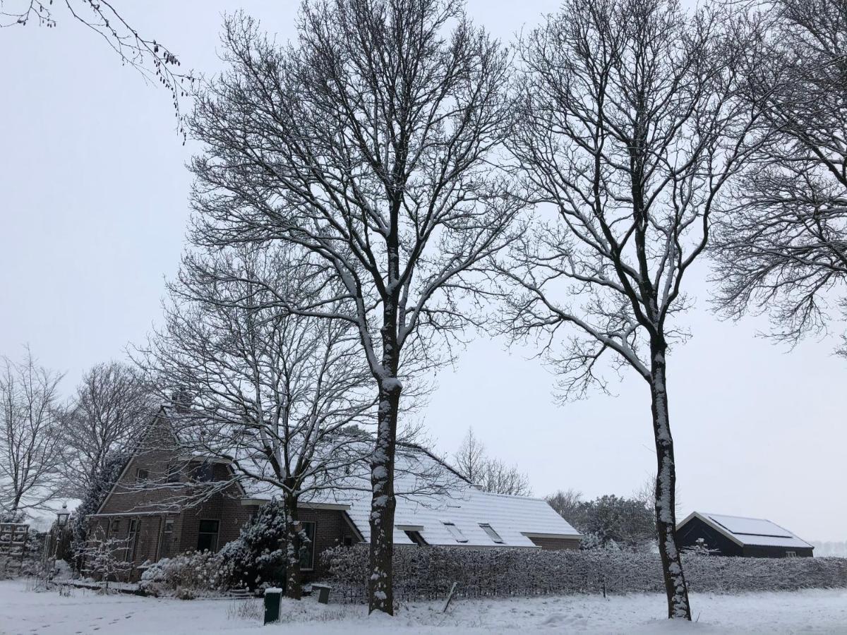 Bed & Breakfast Ter Borg Sellingen Exterior foto